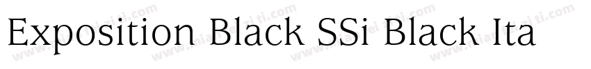 Exposition Black SSi Black Italic字体转换